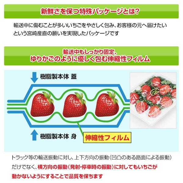 完熟大粒いちごのおおきみは、生産者が少ないレアな品種です。 沖縄・を防止・農薬を限りなく使用せず