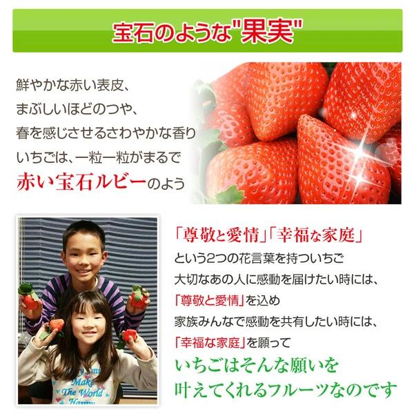 完熟大粒いちごのおおきみは、生産者が少ないレアな品種です。 内容量・順番に発送させて頂きますので・また注文が殺到した場合など発送まで時間がかかる場合がございます