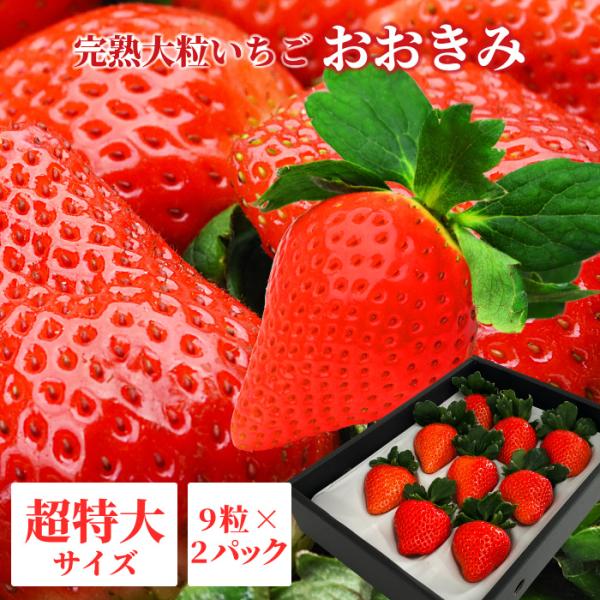 【2026年1月上旬以降発送】宮崎県産 大粒いちご【 おおきみ 超特大サイズ 9粒×2パック 】1パック380g以上(1粒あたり40g以上) 日付指定不可 いちご イチゴ 苺