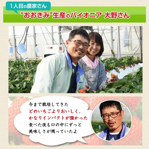 完熟大粒いちごのおおきみは、生産者が少ないレアな品種です。 宮崎産高級いちご・順番に発送させて頂きますので・有名な