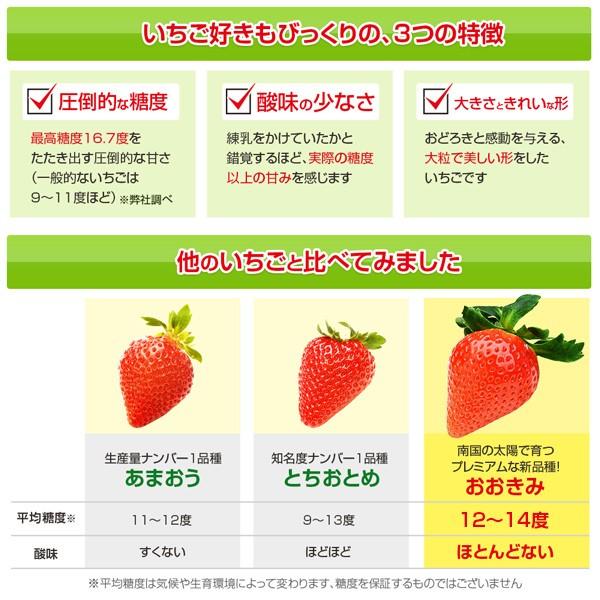 完熟大粒いちごのおおきみは、生産者が少ないレアな品種です。 農薬を限りなく使用せず・糖度13度以上で大粒まさにイチゴの王様です・順番に発送させて頂きますので