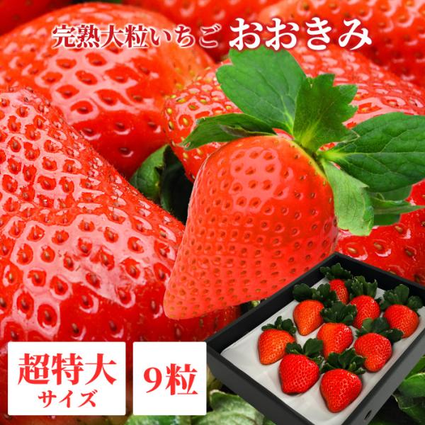 完熟大粒いちごのおおきみは、生産者が少ないレアな品種です。 到着後お早めにお召し上がりください・産地・農薬を限りなく使用せず