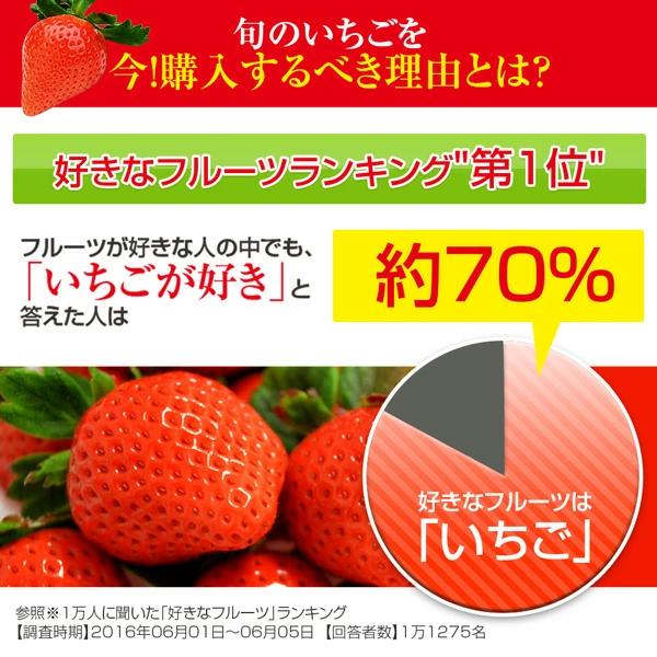 完熟大粒いちごのおおきみは、生産者が少ないレアな品種です。 到着後お早めにお召し上がりください・産地・農薬を限りなく使用せず