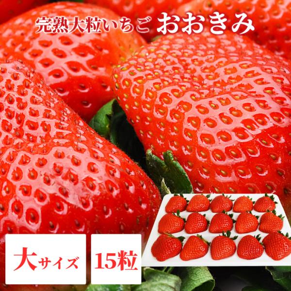 朝獲れイチゴを宮崎から産地直送 この大きさと香りは絶品です！ 沖縄・また・別途送料