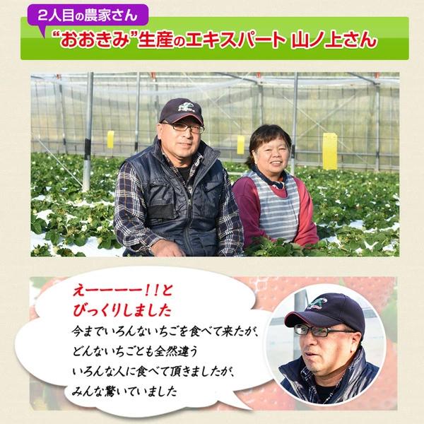 朝獲れイチゴを宮崎から産地直送 この大きさと香りは絶品です！ 沖縄・また・別途送料