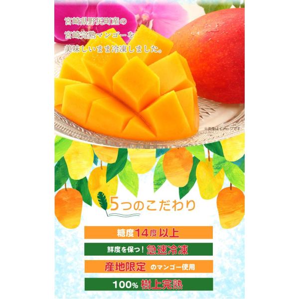 宮崎県産冷凍マンゴー 発送・冷凍配送・ヤマト運輸