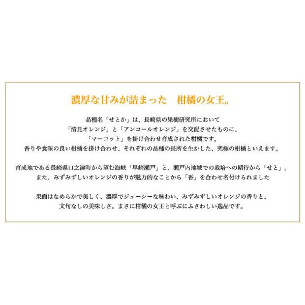 宮崎県産今が旬のせとか 内容・10玉・北海道と沖縄は別途送料1500円を加算させて頂きます