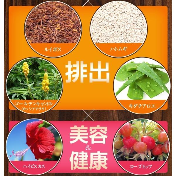 驚くほど毎朝スッキリ ハーブティー 発酵黒生姜 ダイエット 茶 商品名・0g・0