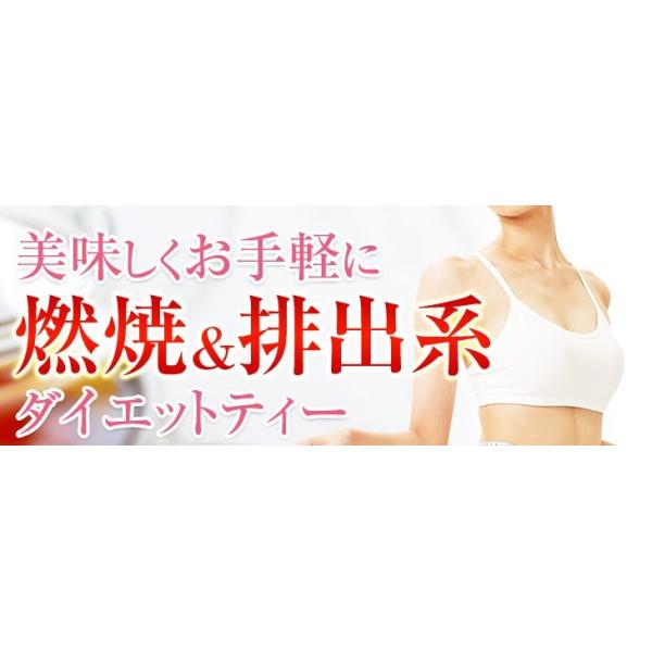 驚くほど毎朝スッキリ ハーブティー 発酵黒生姜 ダイエット 茶 0・0・スリムティーDX30包入り