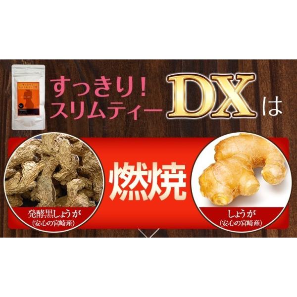 驚くほど毎朝スッキリ ハーブティー 発酵黒生姜 ダイエット 茶 0・0・スリムティーDX30包入り