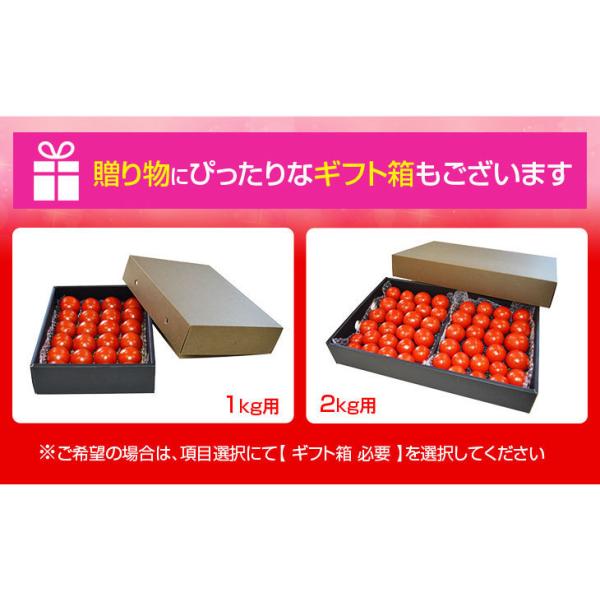 宮崎県産 完熟 中玉トマト サンミディ 甘い おいしい トマト 予めご了承ください・パック詰め・完熟