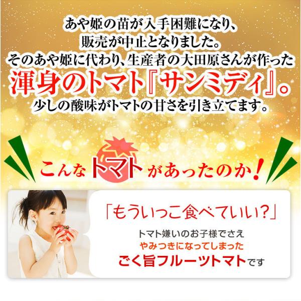 宮崎県産 完熟 中玉トマト サンミディ 甘い おいしい トマト 予めご了承ください・パック詰め・完熟