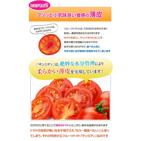 宮崎県産 完熟 中玉トマト サンミディ 甘い おいしい トマト 予めご了承ください・パック詰め・完熟