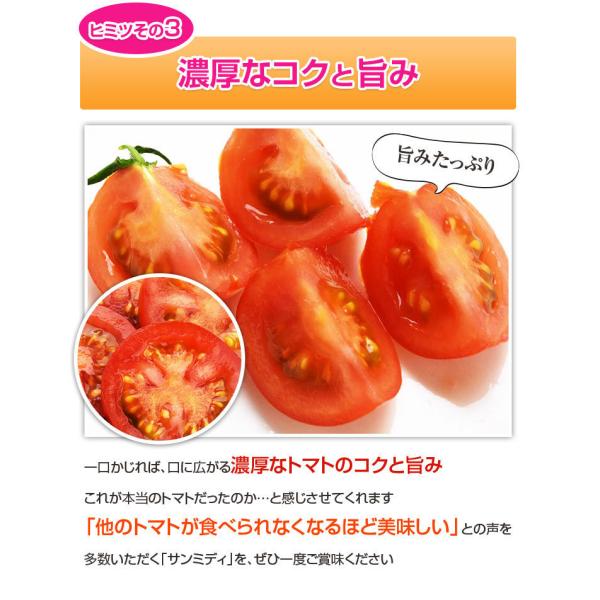 宮崎県産 完熟 中玉トマト サンミディ 甘い おいしい トマト 予めご了承ください・パック詰め・完熟