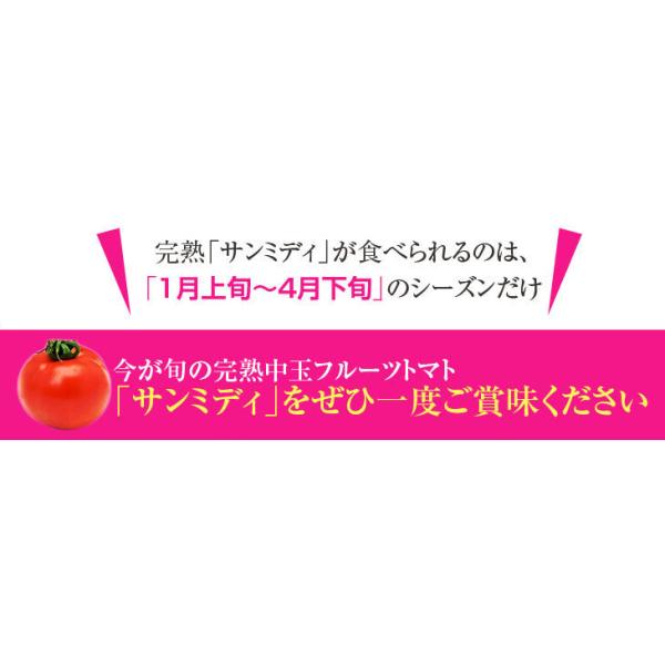 宮崎県産 完熟 中玉トマト サンミディ 甘い おいしい トマト 予めご了承ください・中玉サイズ・完熟