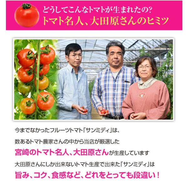 宮崎県産 完熟 中玉トマト サンミディ 甘い おいしい トマト 予めご了承ください・中玉サイズ・完熟