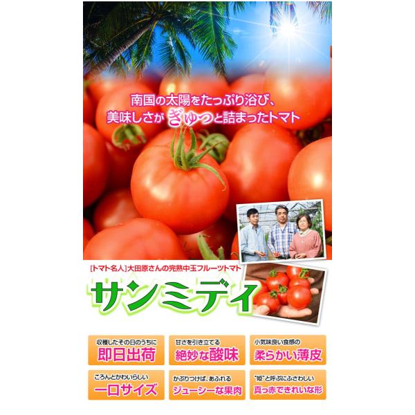 宮崎県産 完熟 中玉トマト サンミディ 甘い おいしい トマト サンミディ・発送方法・予めご了承ください