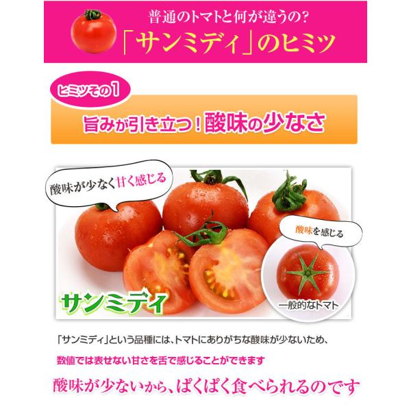 宮崎県産 完熟 中玉トマト サンミディ 甘い おいしい トマト サンミディ・発送方法・予めご了承ください