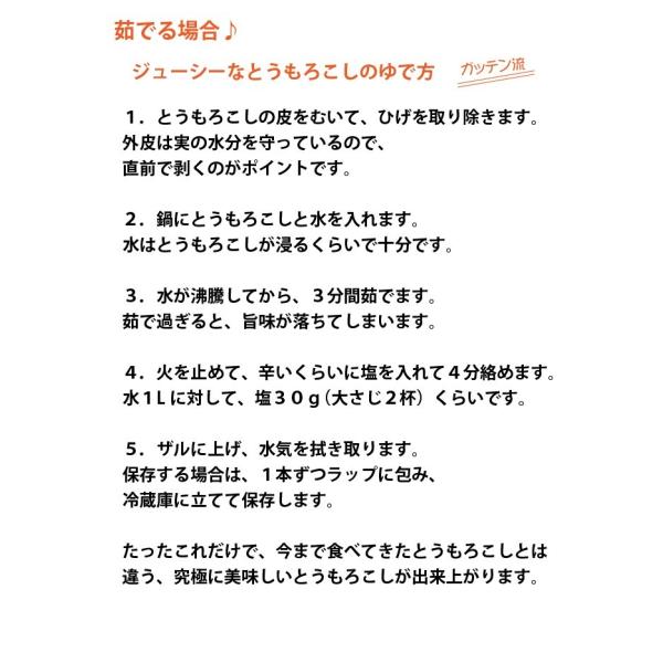 朝採れ！宮崎産ゴールドラッシュ4.5Kg（2Lサイズ約13本） ご注文をお受けした順に5月下旬頃から発送いたします・ゴールドラッシュ・ヤマト運輸のクール便になります