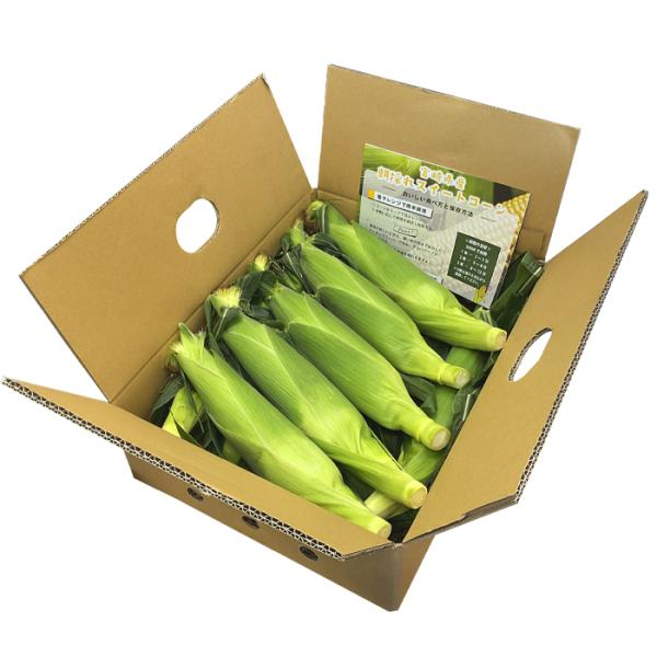 朝採れ！宮崎産ゴールドラッシュ4.5Kg（2Lサイズ約13本） ご注文をお受けした順に5月下旬頃から発送いたします・ゴールドラッシュ・ヤマト運輸のクール便になります