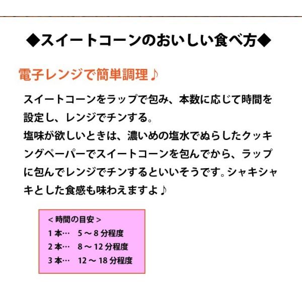 朝採れ！宮崎産ゴールドラッシュ4.5Kg（2Lサイズ約13本） ご注文をお受けした順に5月下旬頃から発送いたします・ゴールドラッシュ・ヤマト運輸のクール便になります
