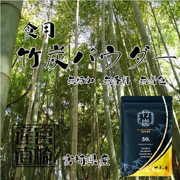 竹炭パウダー 30g 100%天然 食用  滅菌処理済み チャコールクレンズ デトックス